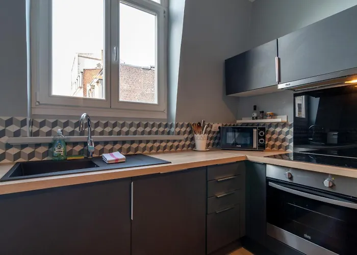 Lille Gares - Duplex Avec Parking